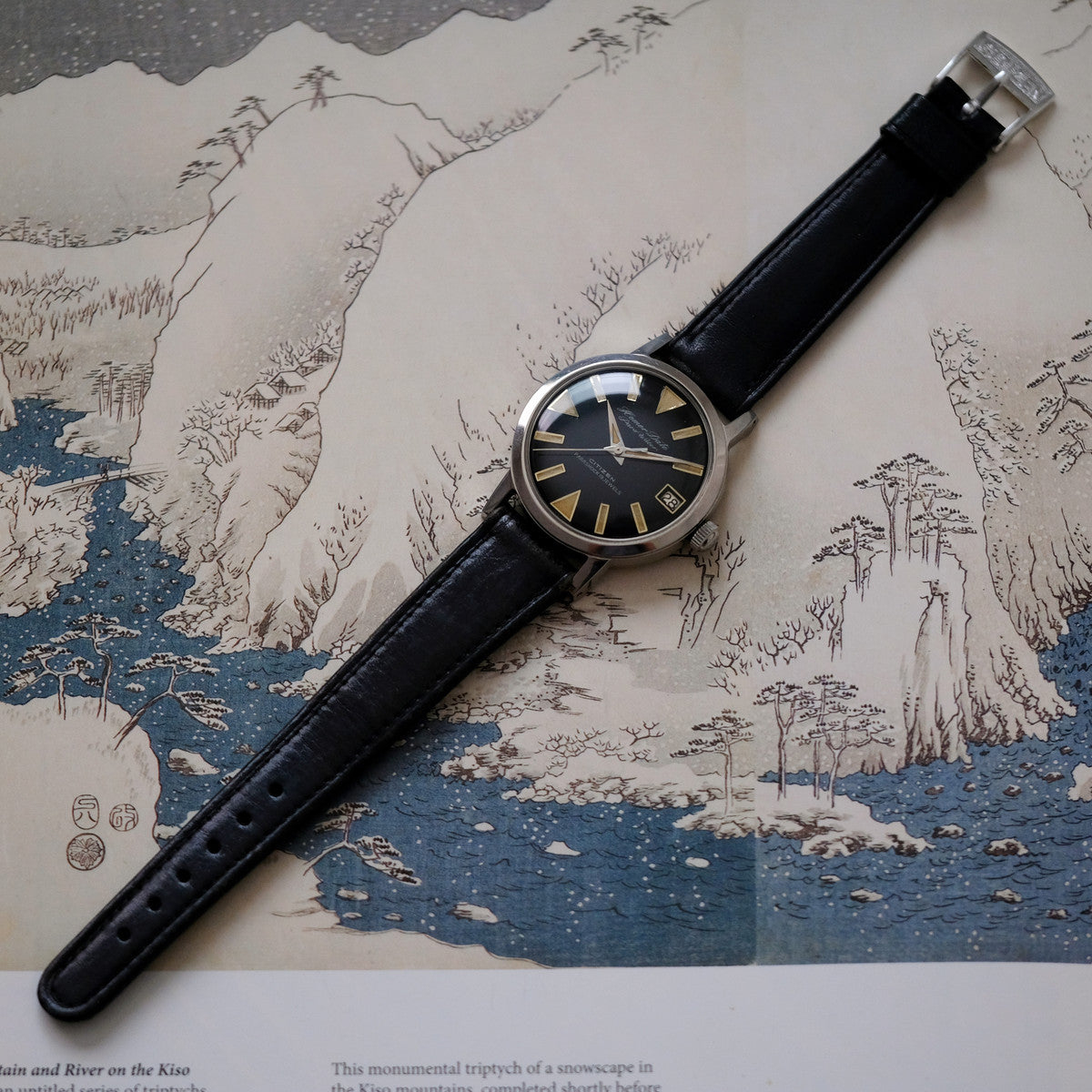 Citizen Homer Date Parawater HD5130801