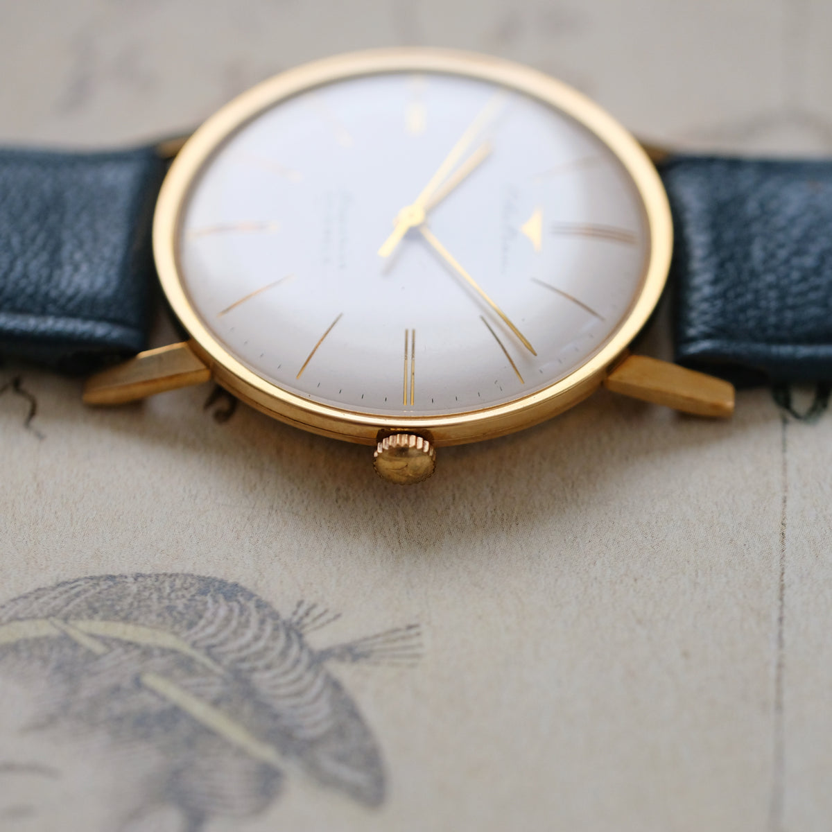Takano Chateau Superior 54103