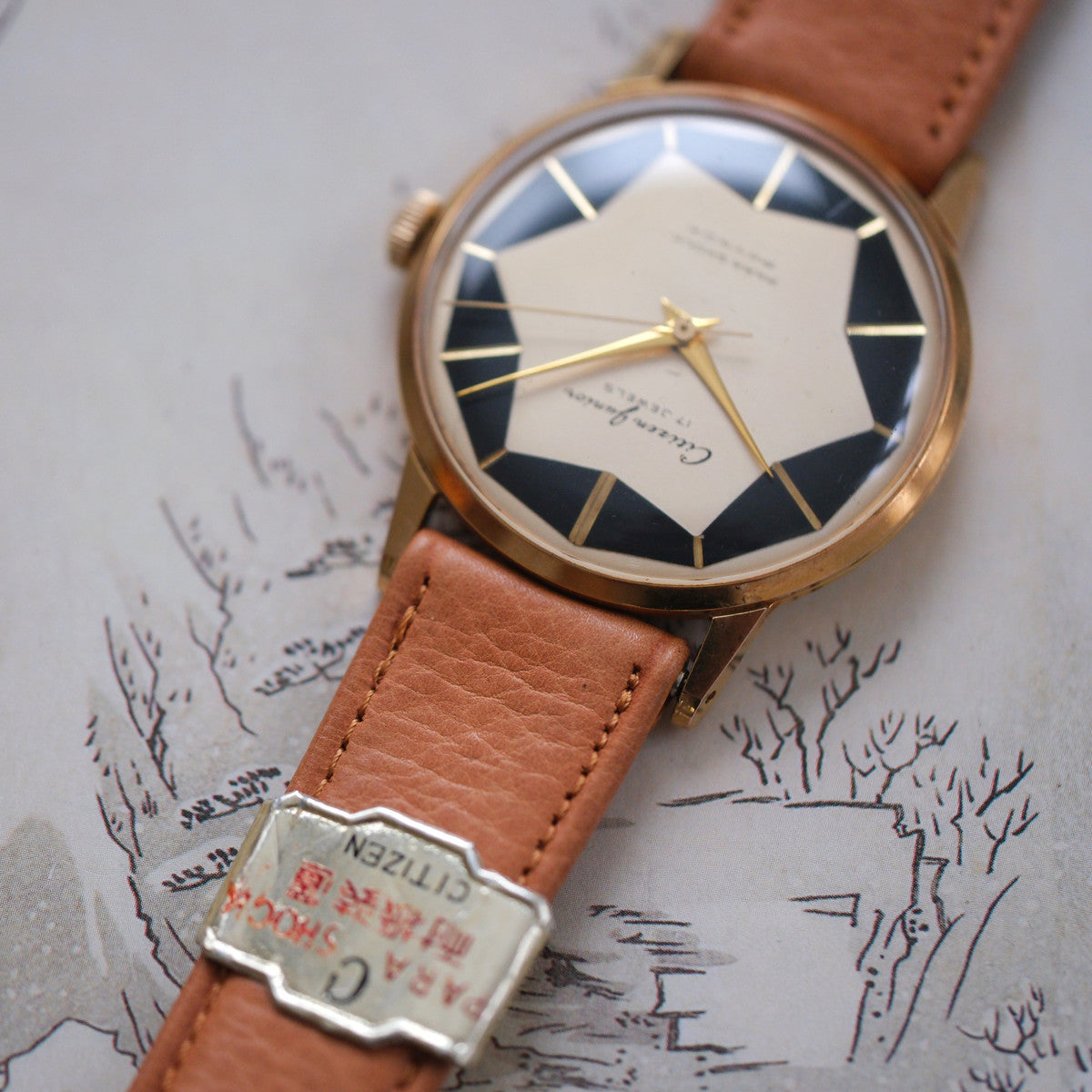 Citizen Junior Star dial J5140317
