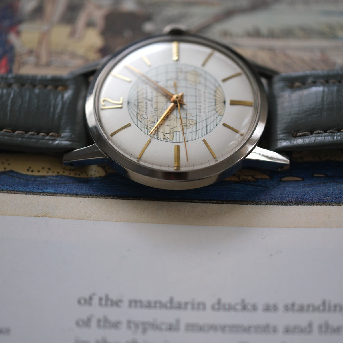 Citizen Junior World Time J140317