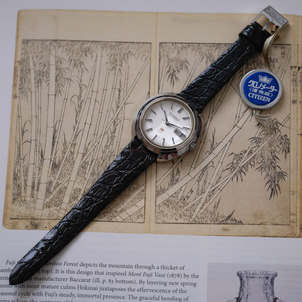 Citizen Leopard Highness 4-4720300Y