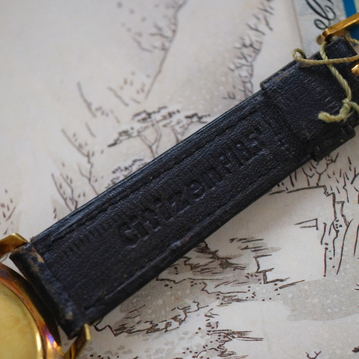 Citizen Ace A515701 Kanagawa Wave