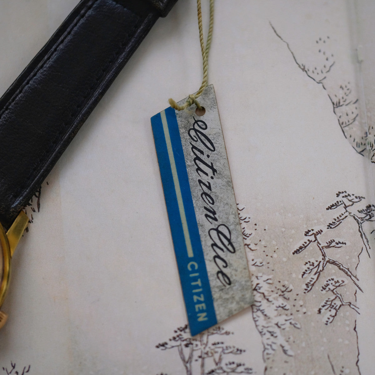 Citizen Ace A515701 Kanagawa Wave