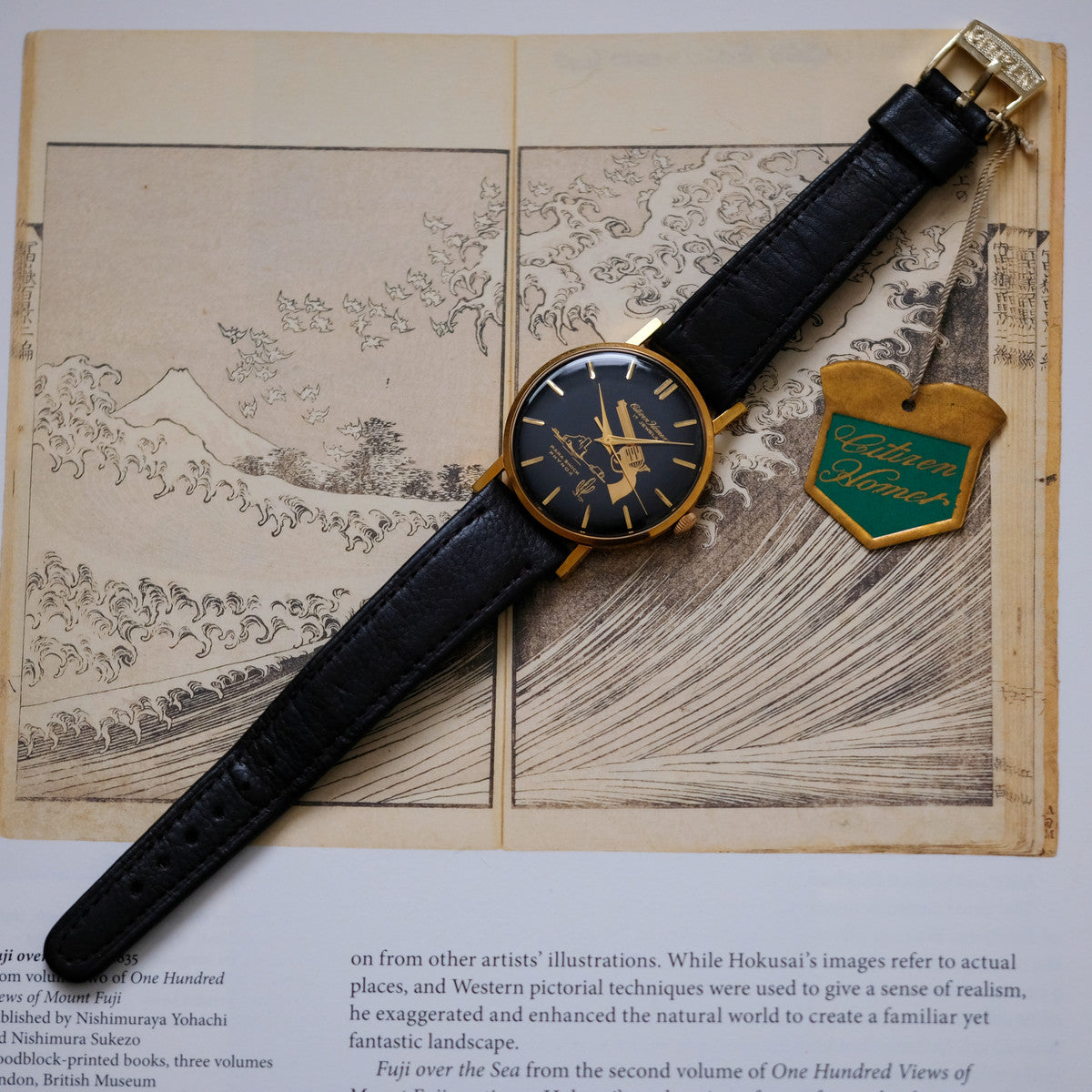 Citizen Homer Pansy Western Dial H015307