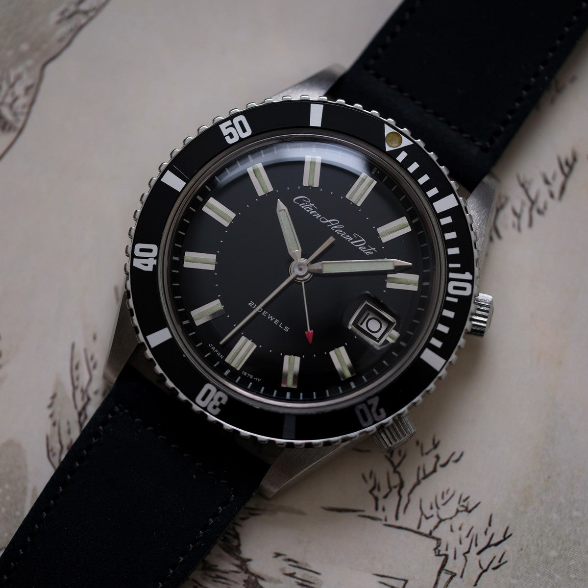 Citizen Alarm Date ALDS 52902-Y