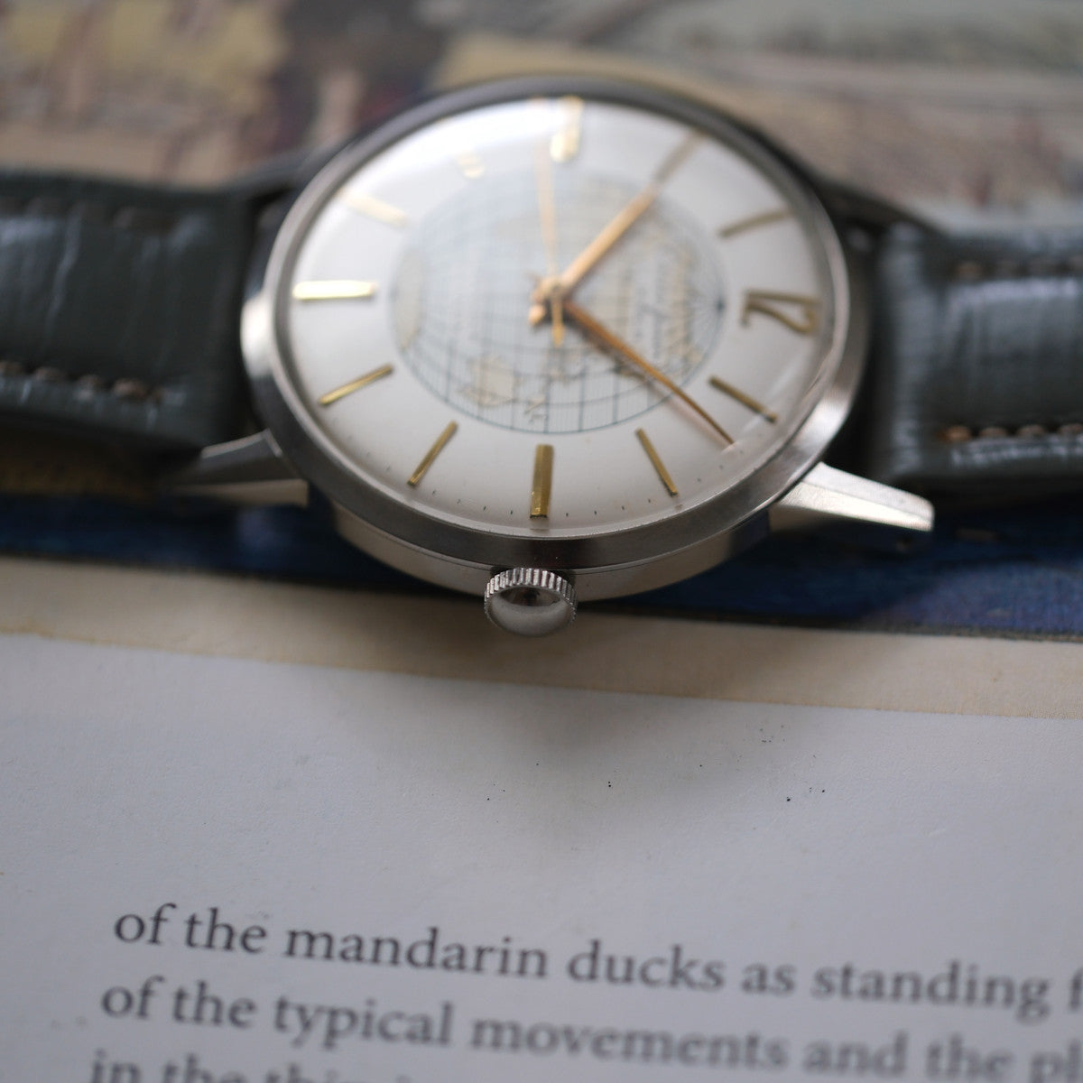 Citizen Junior World Time J140317