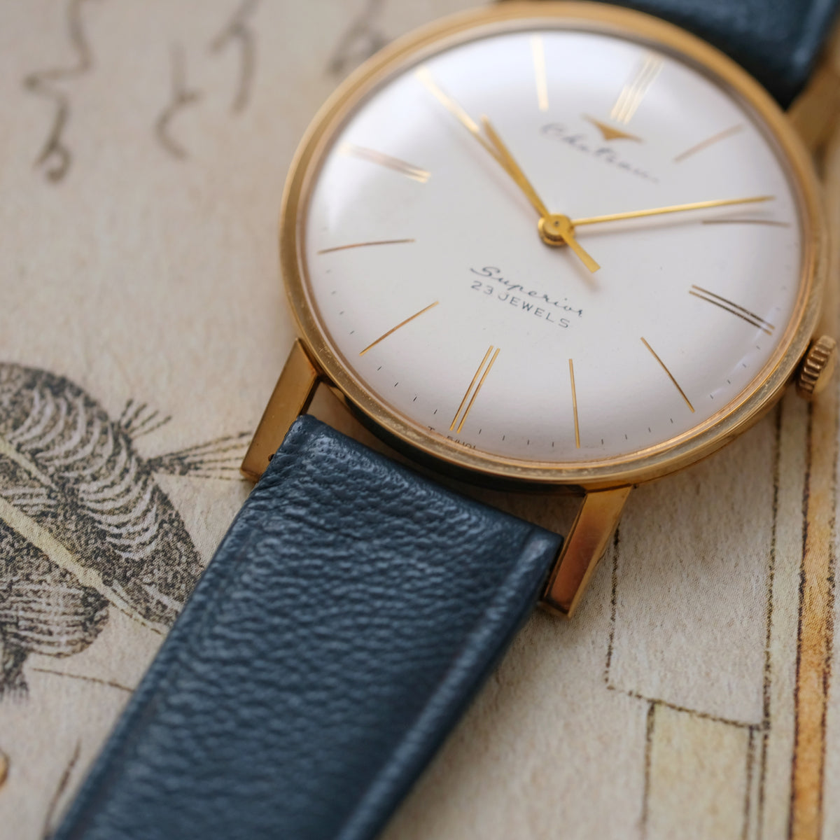 Takano Chateau Superior 54103