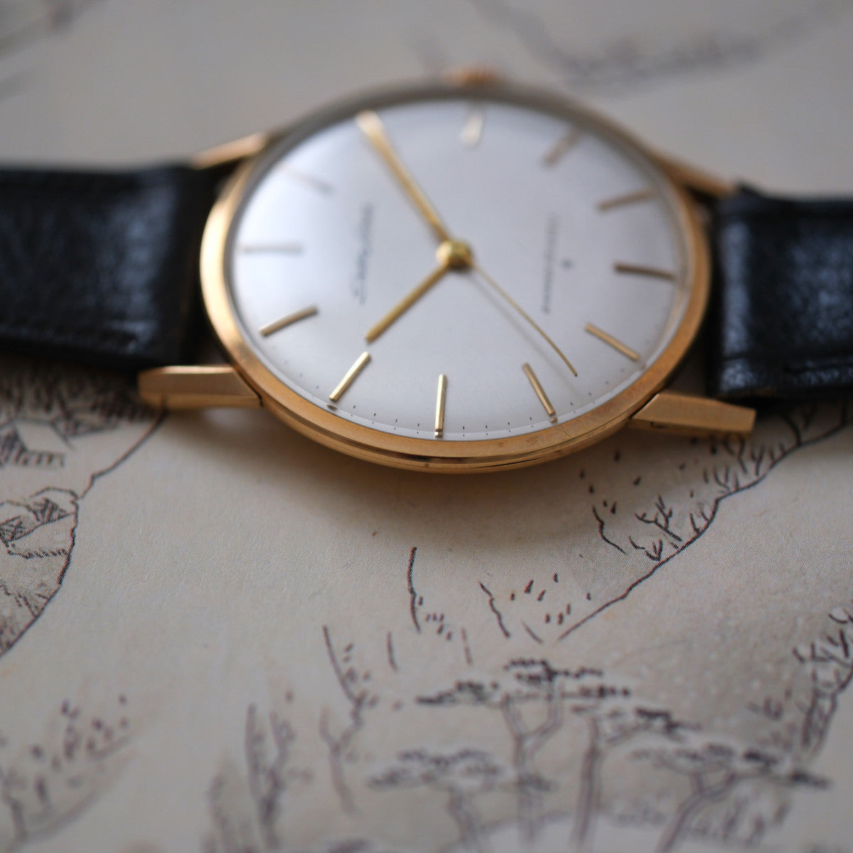 Seiko Liner J15010 with SD logo