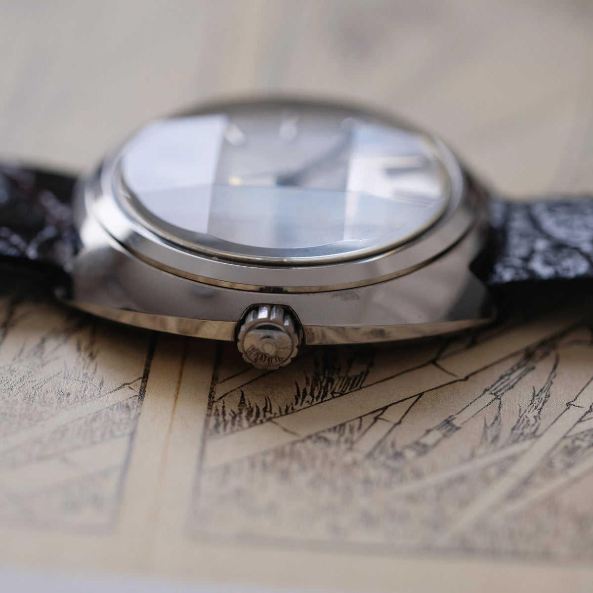 Citizen Leopard Highness 4-4720300Y