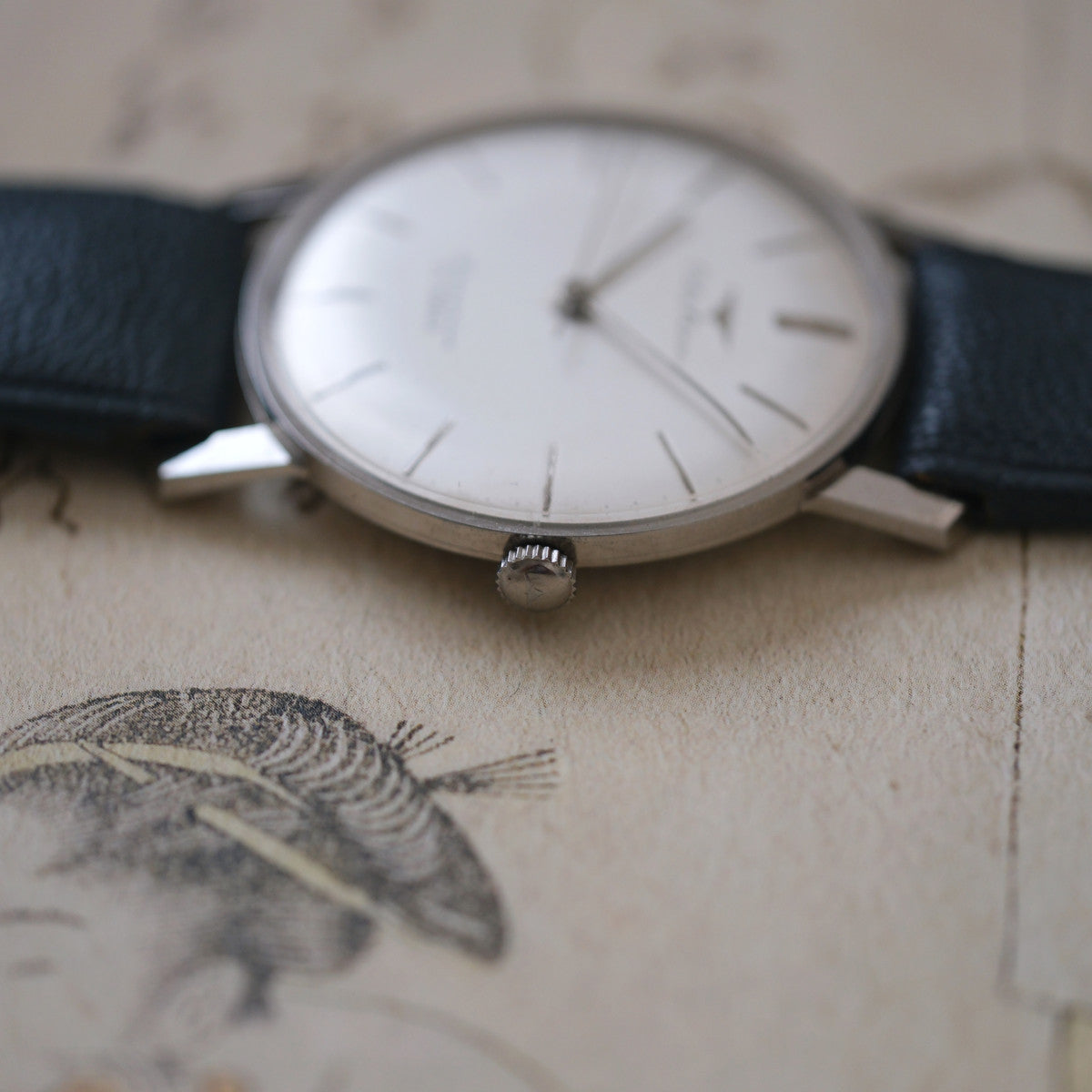 Takano Chateau Superior 54101