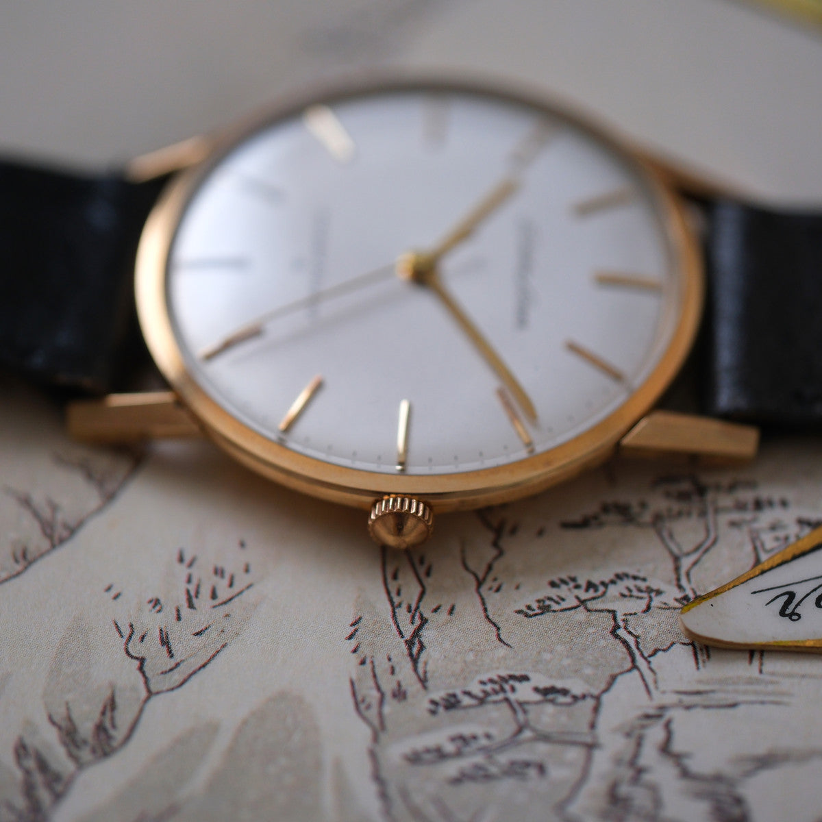 Seiko Liner J15010 with SD logo